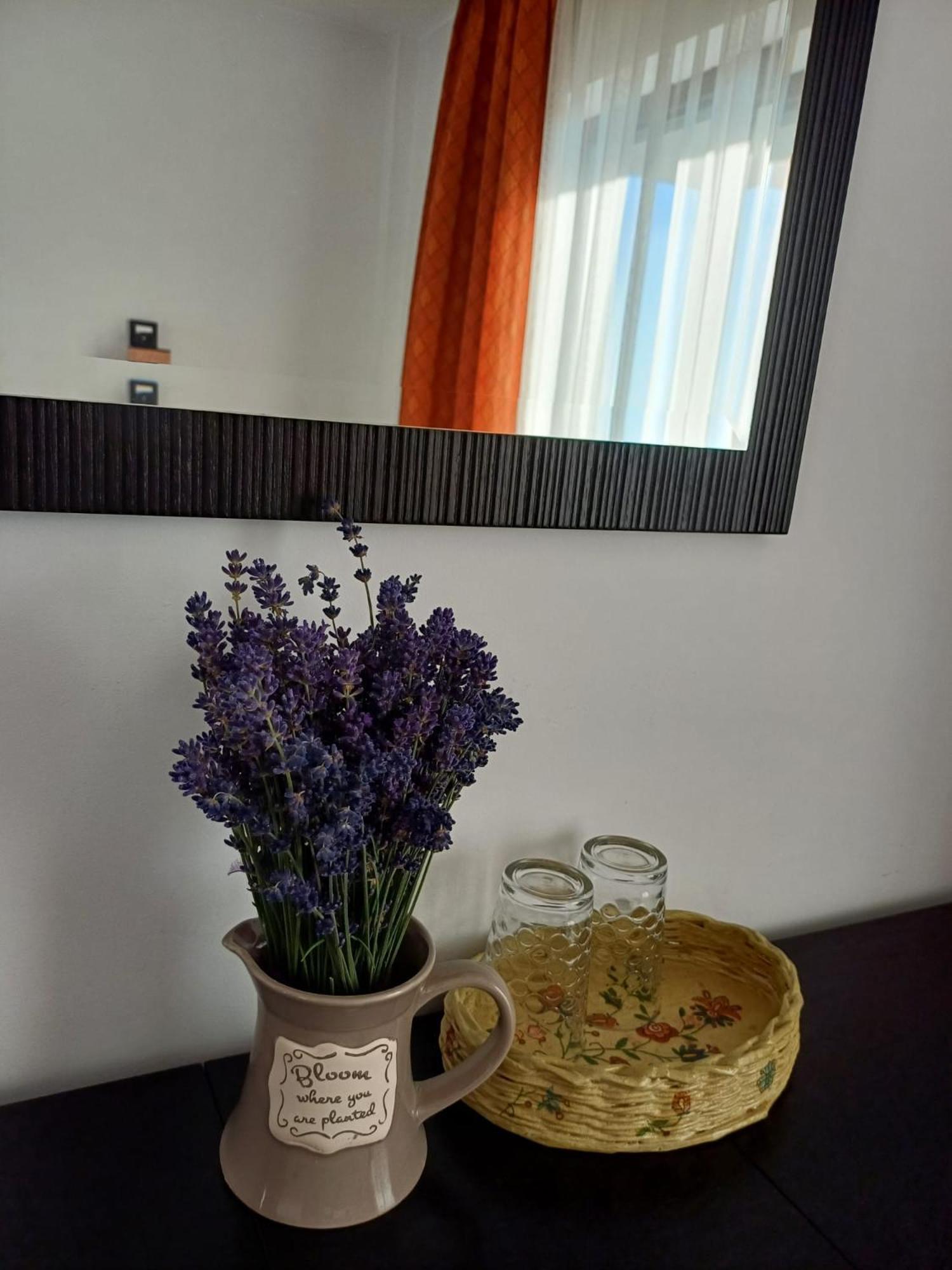 Dragomirna Sunset Hotel Mitocu Dragomirnei Екстериор снимка